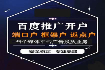 SEM托管服务，成功案例见证转化奇迹